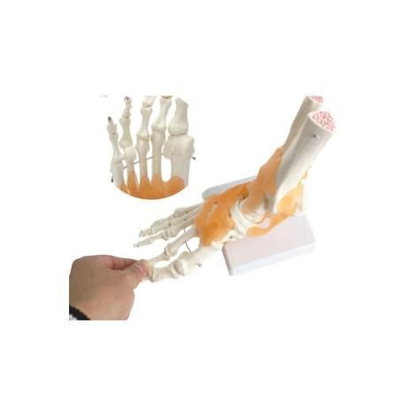 Çağrı Medikal 