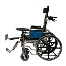 Poylin P615 Banyo Tuvalet Tekerlekli Sandalye