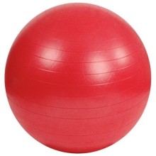 Gym Ball Pilates Topu 65 Cm