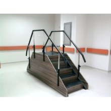 Merdiven Hasta Yürüme Yardımcı