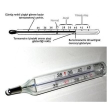 Mesilife – CRW1108 Civa İçermeyen Ateş Ölçer