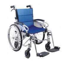 WG-M319 Wollex Özellikli Tekerlekli Sandalye