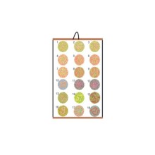 Renk Körlüğü Test Skalası