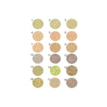 Renk Körlüğü Test Skalası