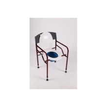 Felçli Hasta Tuvaleti