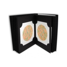 Renk Körlüğü Testi