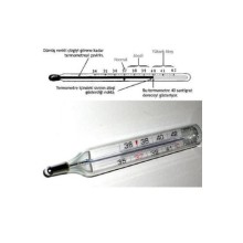 Civa Içermeyen Beden Derecesi
