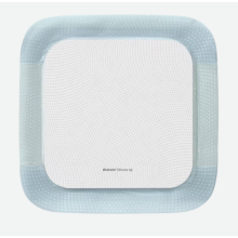 Biatain® Silicone Ag