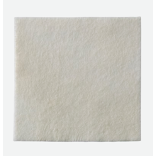 Biatain® Aljinat Ag