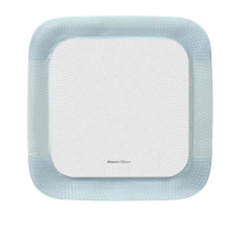 Biatain® Silicone