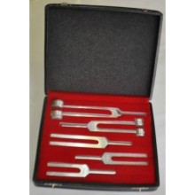Mesitas Dyapazon Set 5'li