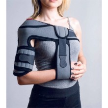 Humerus Breys Plus