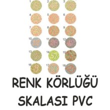 Renk Körlüğü Test Skalası